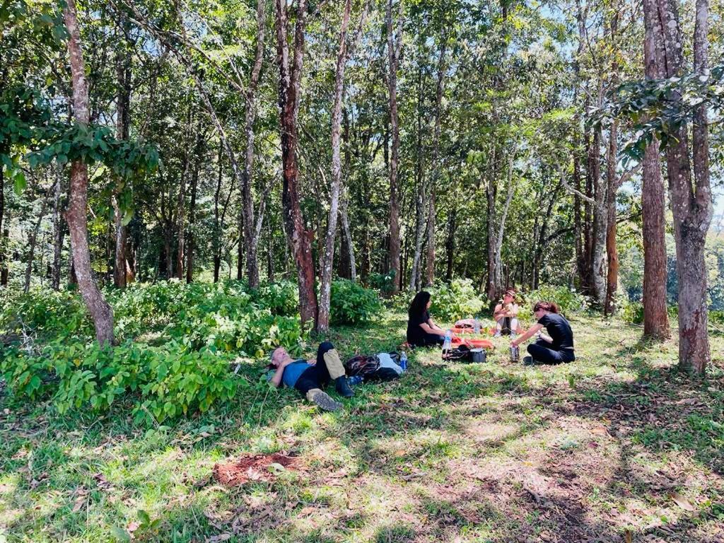 Mountain View Homestay Thekkady Kültér fotó