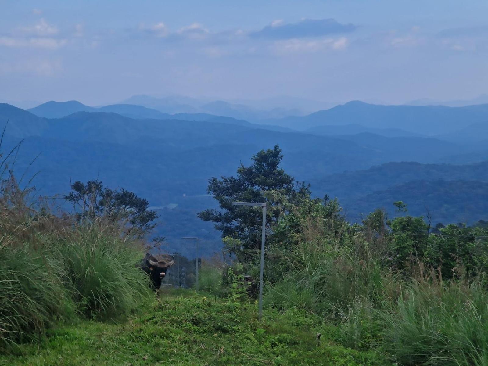 Mountain View Homestay Thekkady Kültér fotó
