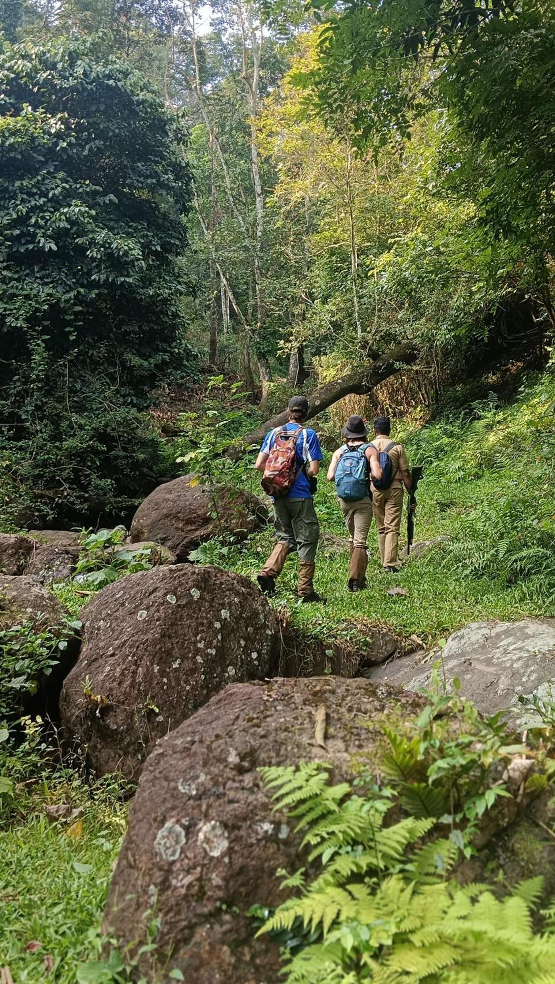 Mountain View Homestay Thekkady Kültér fotó